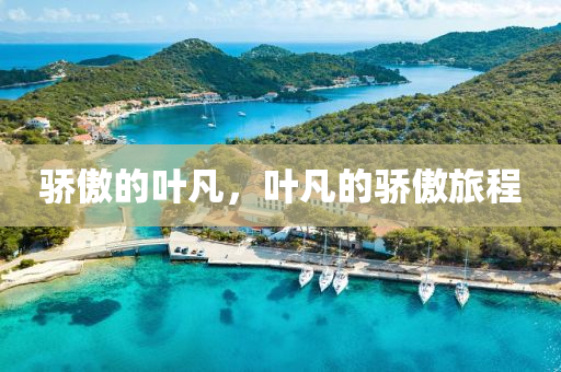 骄傲的叶凡，叶凡的骄傲旅程澳门天天彩精准免费大全
